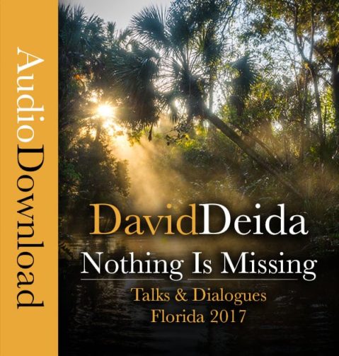 David Deida - Nothing is Missing - The 2017 Florida Talks