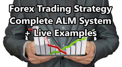 Instructors & Steve Cook - Forex Trading Strategy: Complete ALM System + Live Examples