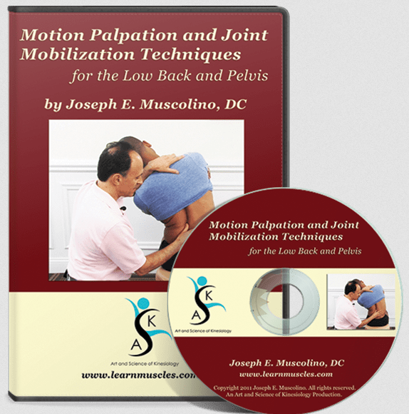 Joseph Muscolino - Motion Palpation Assessment and Joint Mobilization Treatment Techniques for the Low Back and Pelvis