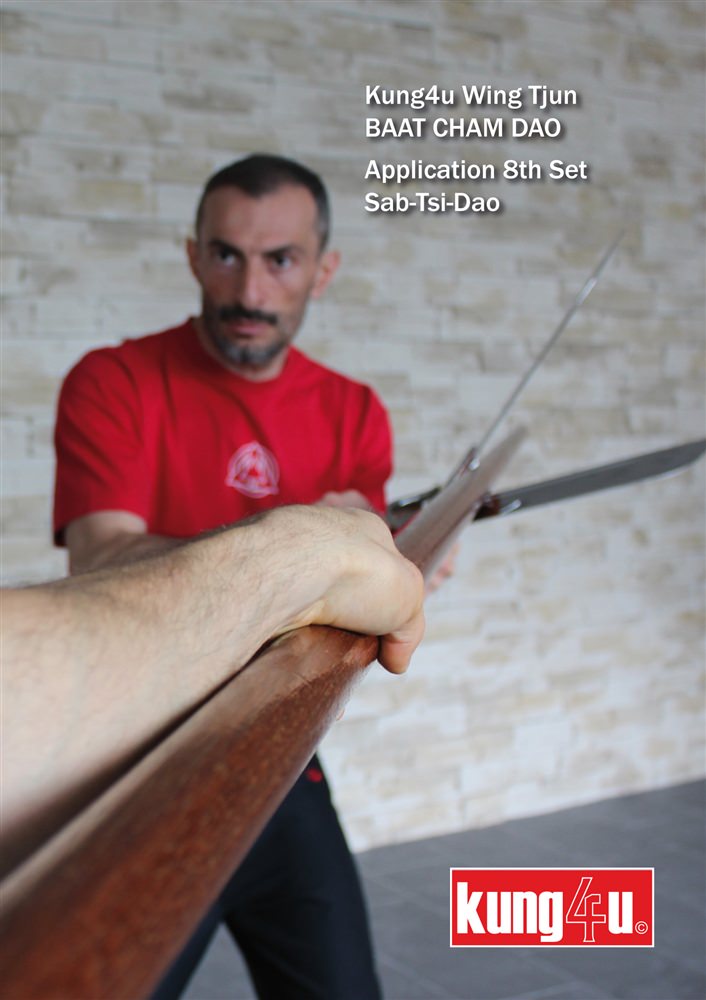 Sifu Taner & Sifu Graziano - Baat Cham Dao (Butterfly Swords) Applications 8