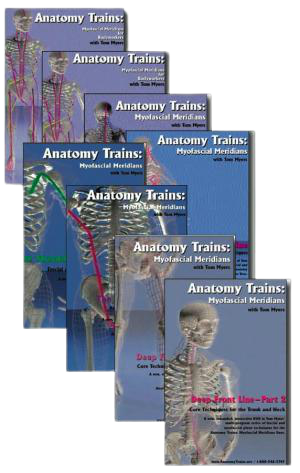 Tom Myers - Technique Series Set of 8 Videos1