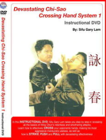 Wing Chun - Gary Lam - Devastating Chi Sao1