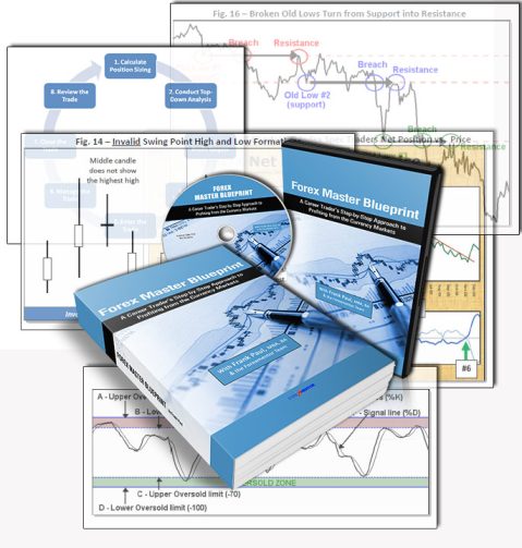 Forexmentor Frank Paul - FOREX Master Blueprint 2010 - 1 DVD + Manual