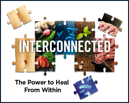 Heal From Within - Interconnected