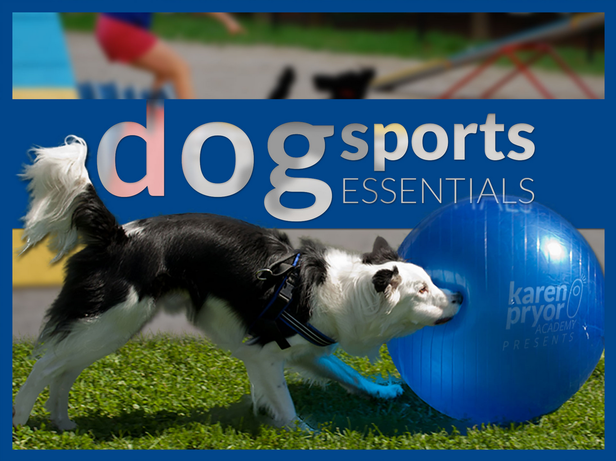 Karen Pryor Academy - Dog Sports Essentials