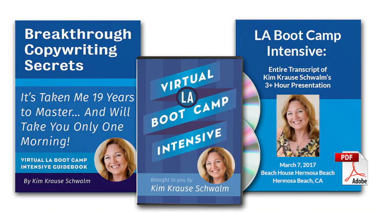 Kim Krause Schwalm - Virtual LA Boot Camp Intensive