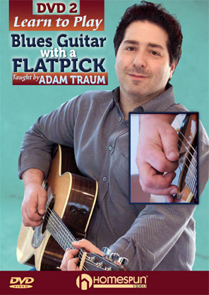 Learn to Play Blues Guitar with a Flatpick Vol 2