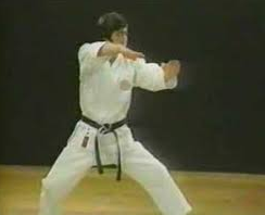 Mastering Karate Dan-Kata NTSC TUTORIAL - Hirokazu Kanazawa