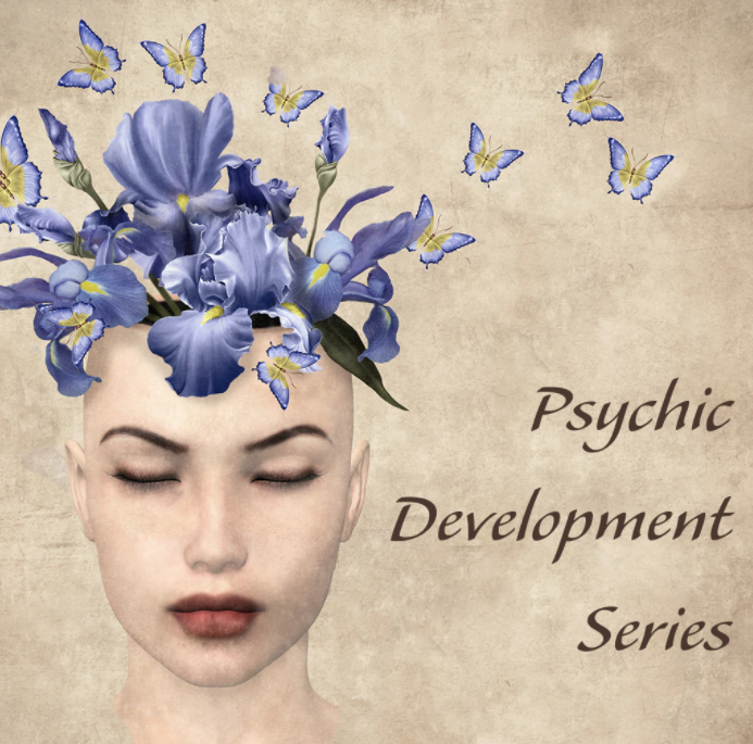 Tosha Silver - Psychic Development Series1