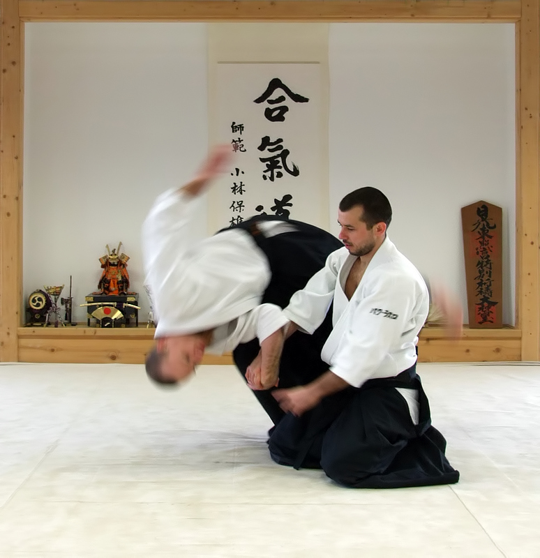 An Aikido Odyssey