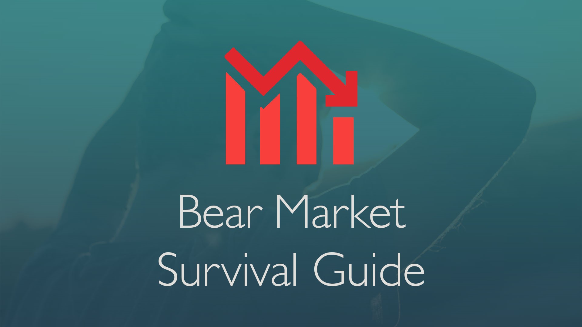 Bear Market Survival Guide - Special Rate