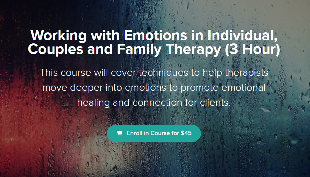 Charise Schwertfeger LMFT & Minon Maier LMFT - Working with Emotions in Individual Couples and Family Therapy (3 Hour)