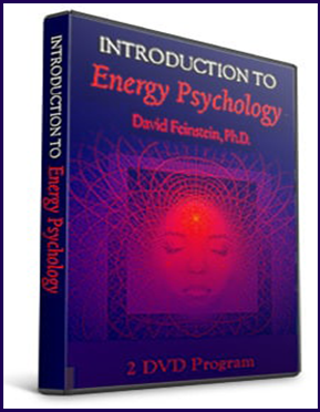 David Feinstein - Introduction to Energy Psychology Seminar