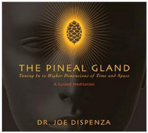 Dr. Joe Dispenza - The Pineal Gland - Tuning in to Higher Dimensions