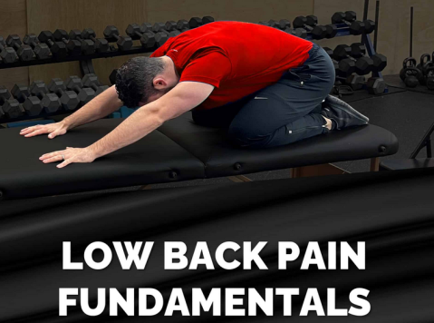 Dr. Michael Mash - Low Back Pain Fundamentals