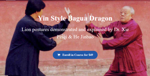 He Jinbao - Yin Style Bagua Dragon