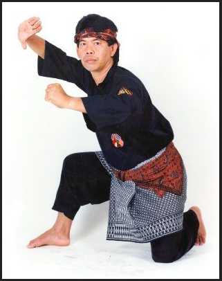 Herman Suwanda - Pencak Silat Mande Muda