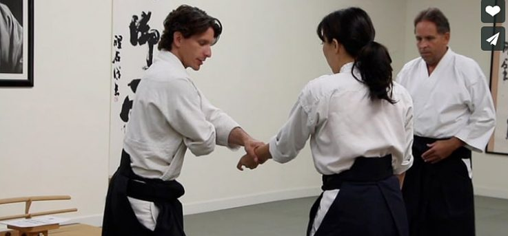 Josh Gold - The First Aikido Friendship Demonstration