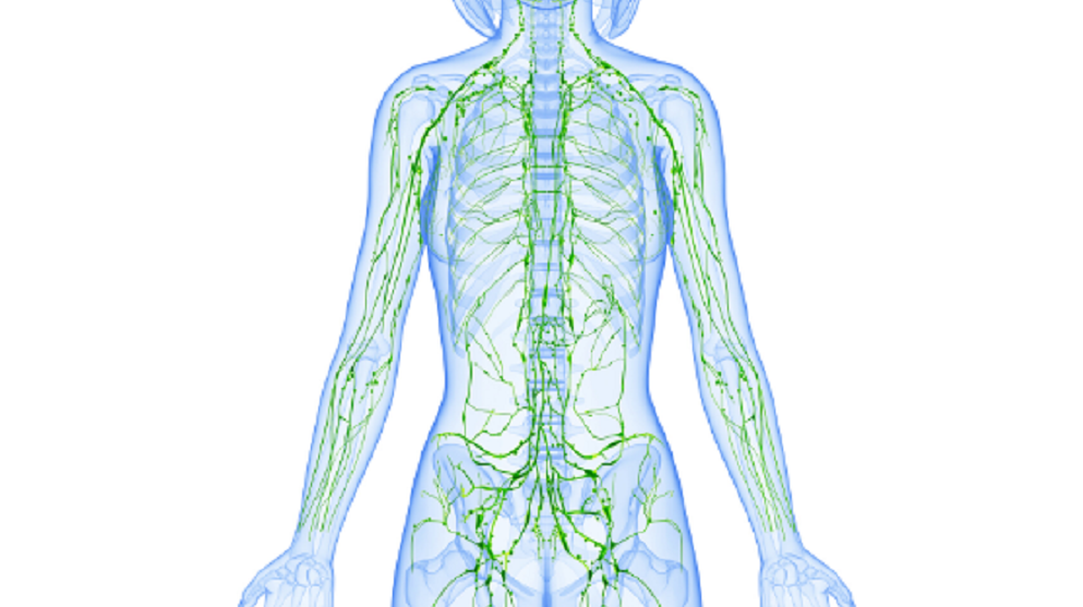 Lymphatic Drainage Flush