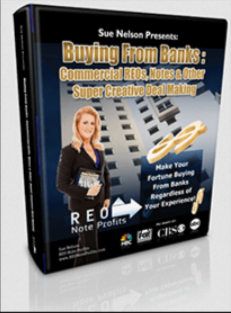 Sue Nelson - Buying From Banks Webinar1