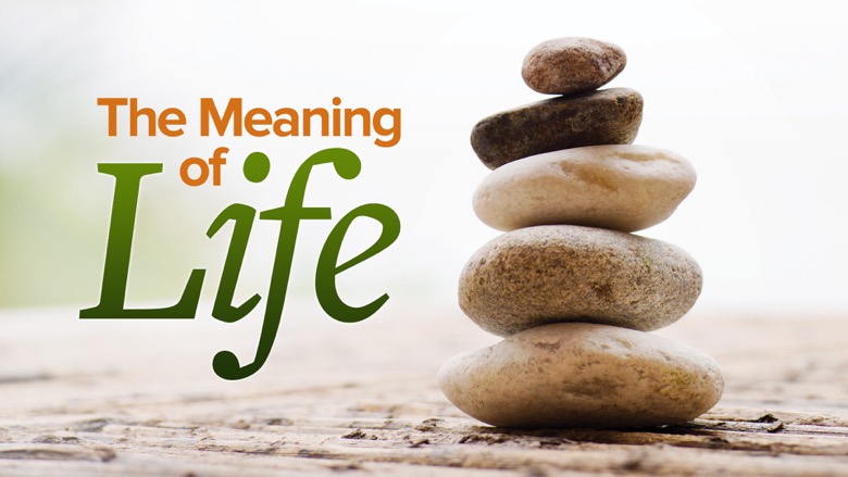 TTC Video - Meaning of Life - Perspectives from the World’s Great Intellectual Traditions1