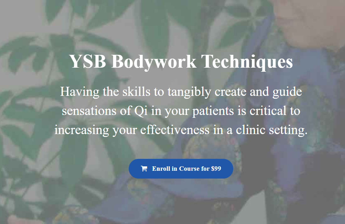 Xie Pieqi - YSB Bodywork Techniques1