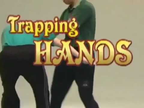 Benny Meng - Ip Man Wing Chun Series 10 Trapping Hands