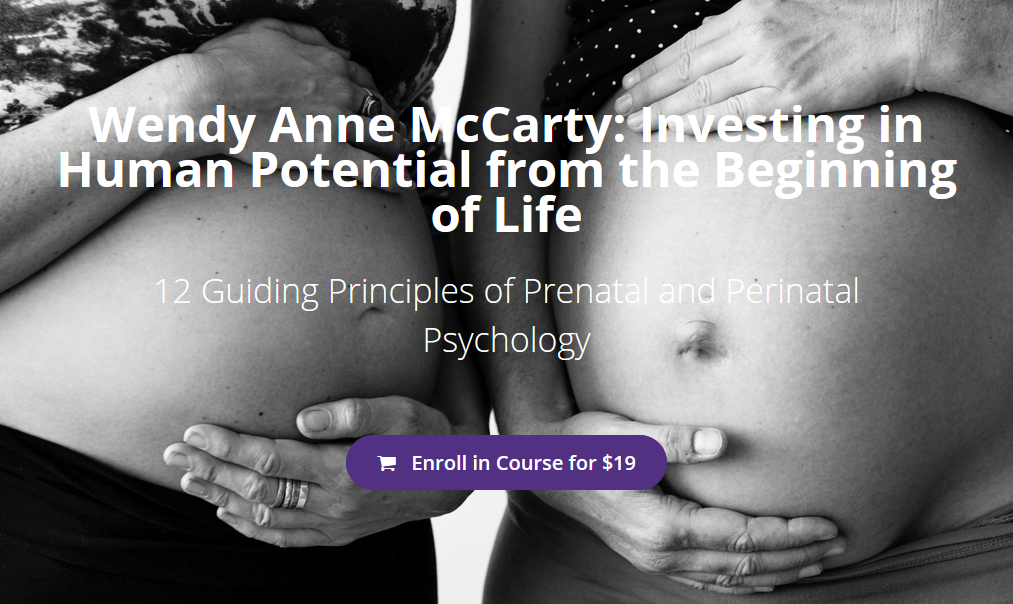 Birth Psychology - Wendy Anne McCarty: Investing in Human Potential from the Beginning of Life