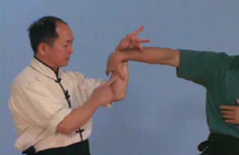 Chin Na In Depth 9-12 - Dr. Yang Jwing Ming