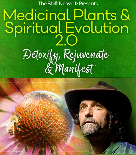 David Crow, LAc - Medicinal Plants & Spiritual Evolution