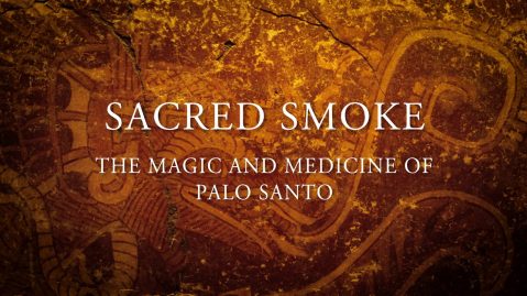 David Crow - Sacred Smoke: The Magic and Medicine of Palo Santo