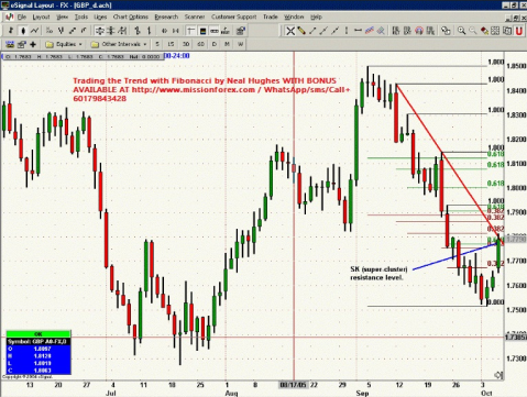 Neal Hughes – Advanced Fibonacci Trading