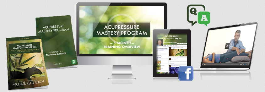 Michael Reed Gach – Acupressure Mastery Program, Month 3 webinar + Month 4