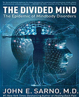 The Divided Mind