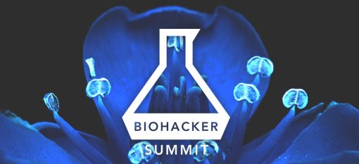 V.A. Biohacker Summit Stockholm 2018.