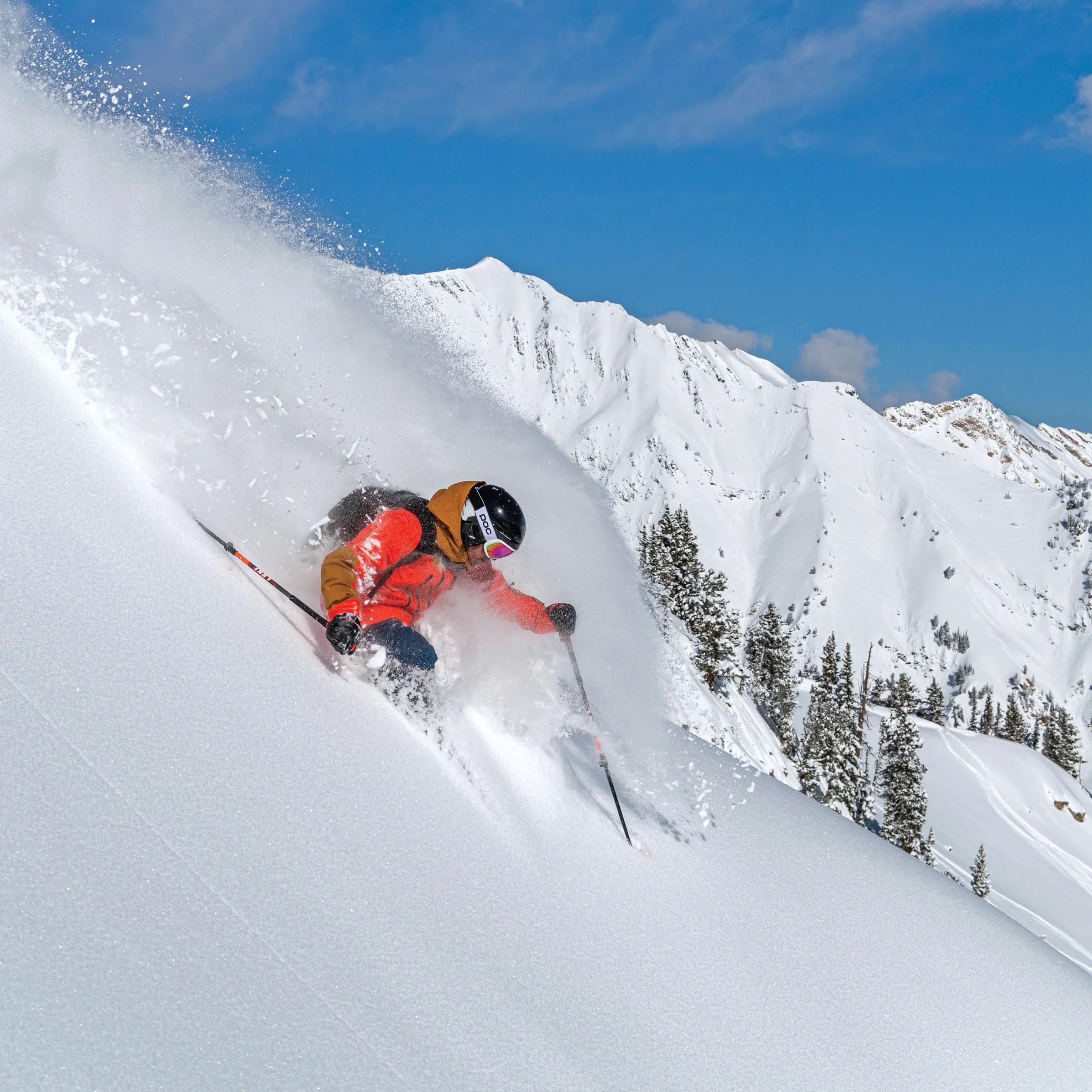 Wendy Fisher and Ann Schorling - Go Deep How to Ski Powder1