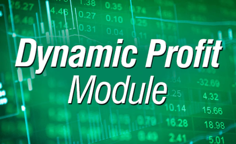 Dynamic Profit Module