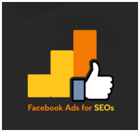 FB ADS FOR SEO