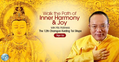 H.H. Chamgon Kenting Tai Situpa - Walk the Path of Inner Harmony & Joy
