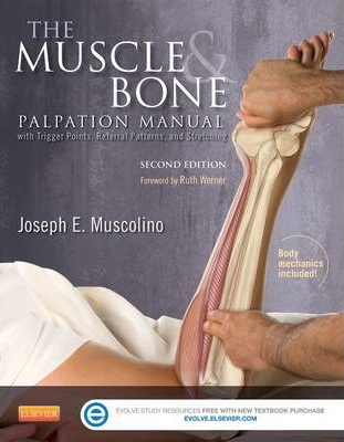 Joseph E.Muscolino – The Muscle and Bone Palpation Manual