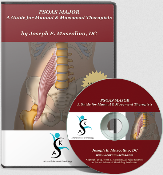 Joseph Muscolino - Psoas Major: A Guide for Manual and Movement Therapists