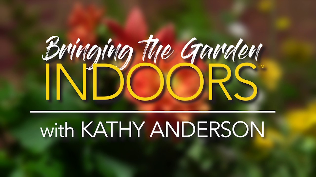 Kathy Anderson Bringing the Garden Indoors