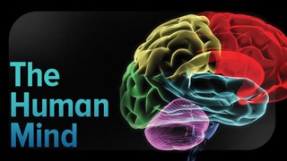 TTC Video - Origins of the Human Mind1