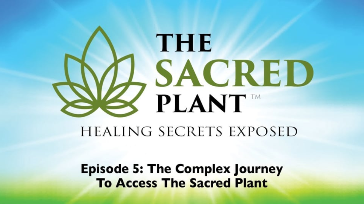 The Sacred Plant Healing Secrets Exposed. Episode 5