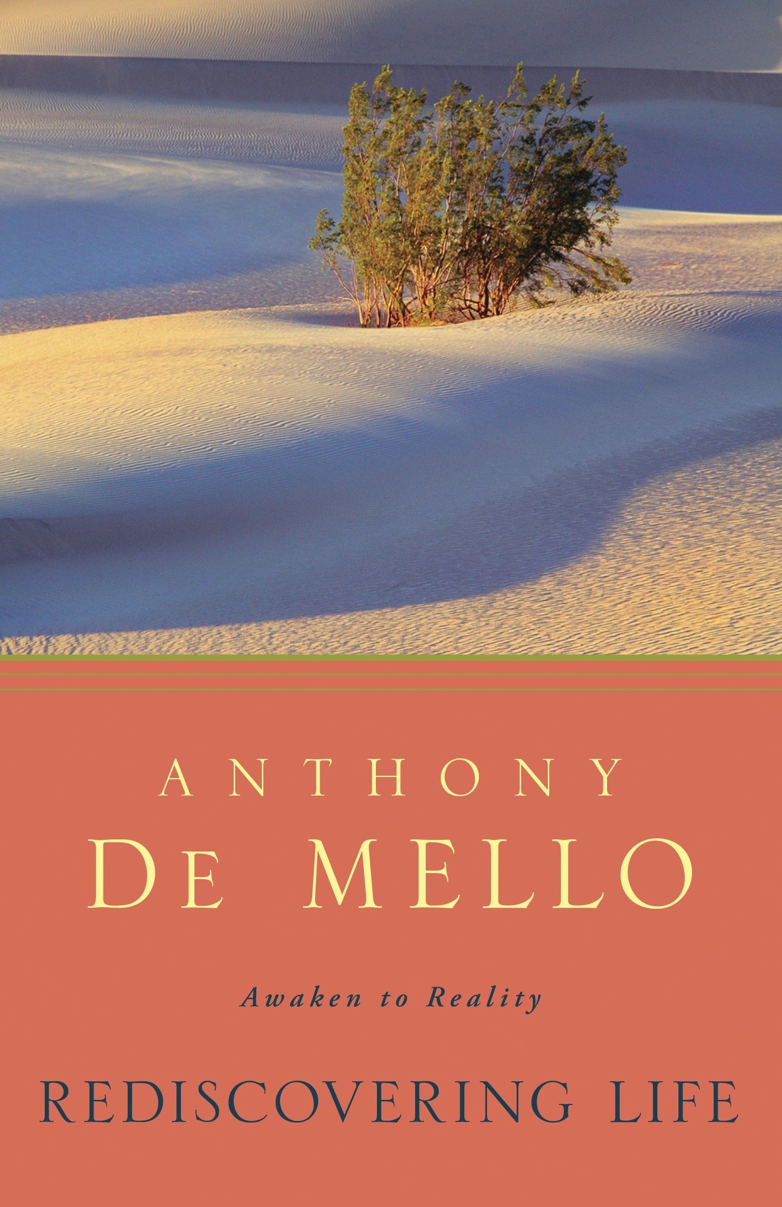 Anthony de Mdlo - Rediscovering Life