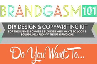 Brandgasm DIY Design & Copy Kit For Businesses & Bloggers