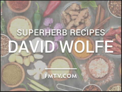 David Wolfe - Superfood Recipes