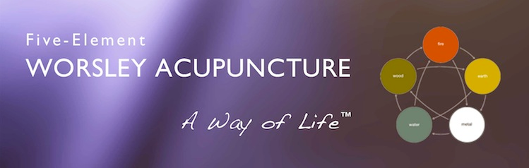 Judy Worsley - Five-Element Acupuncture as Taught by Professor JR Worsley