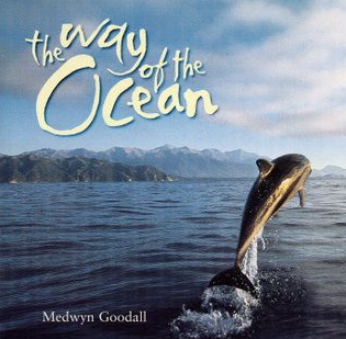 Medwyn Goodall - The Way of the Ocean