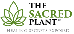 The Sacred Plant Healing Secrets ExposerLDocuseries1